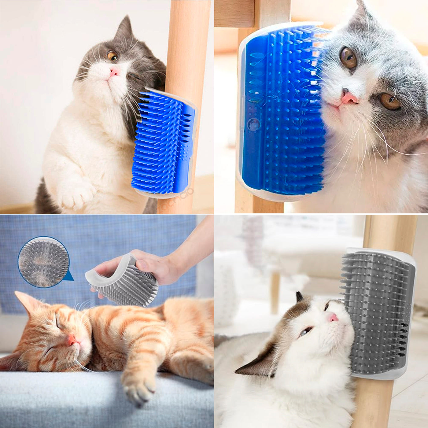 Cepillo Esquinero Para Gatos Autogrooming Masajeador Catnip