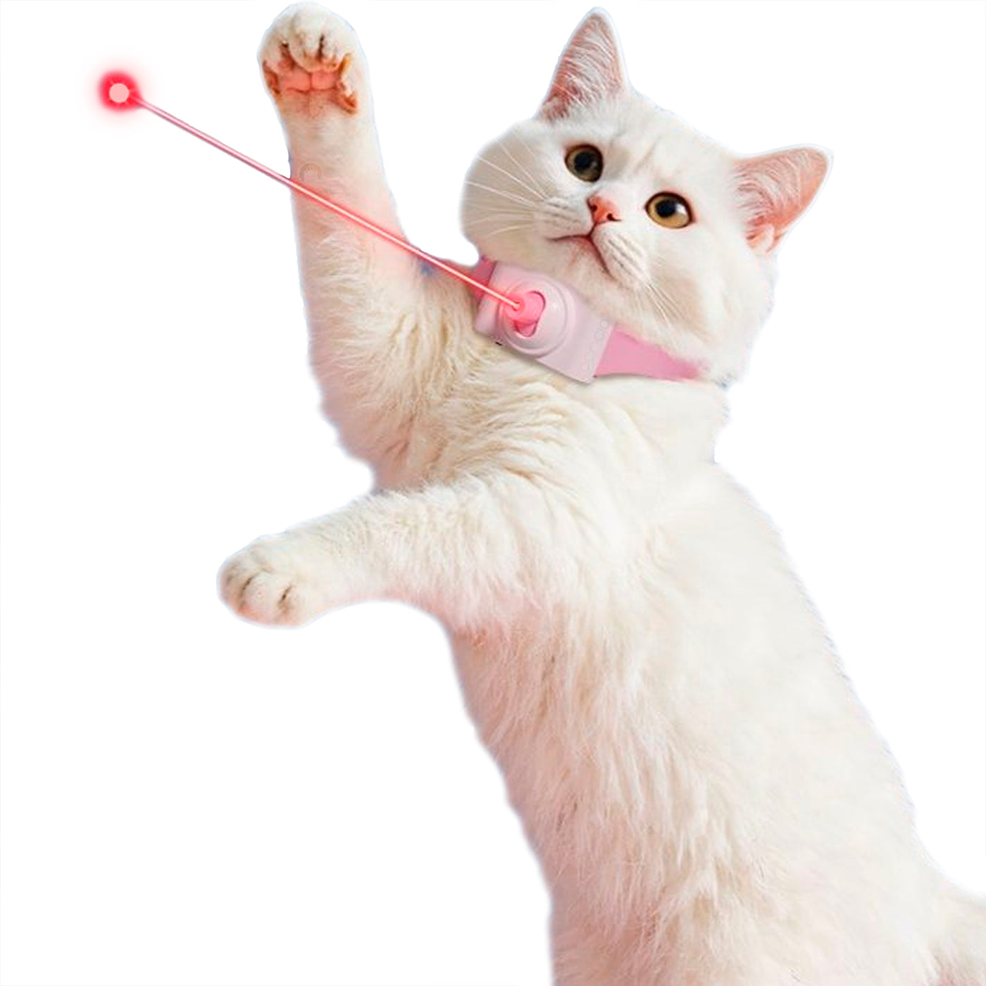 Collar Con Láser Para Gatos Juguete Inteligente Estimulacion