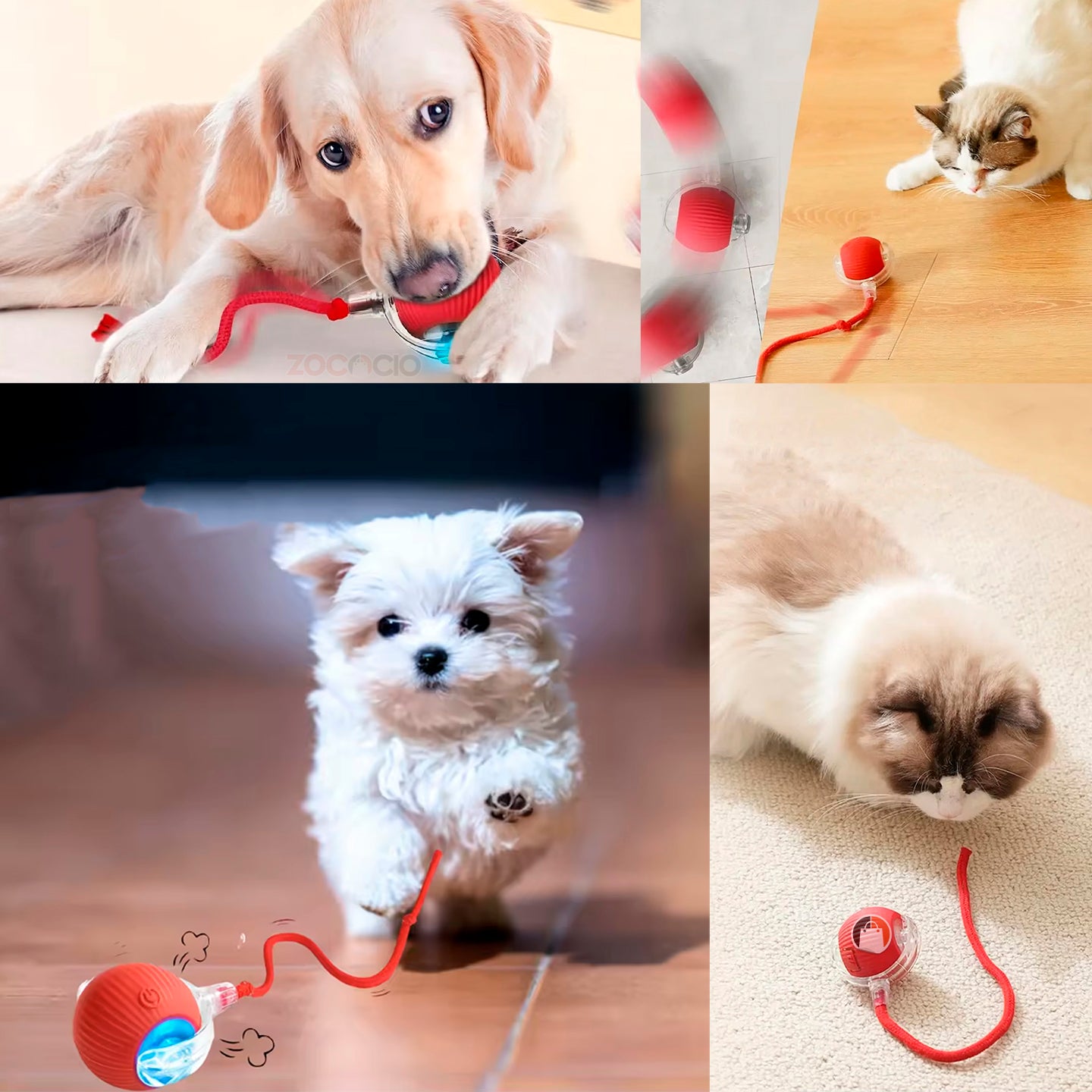 Pelota Interactiva Para Mascota Con Cola Recargable