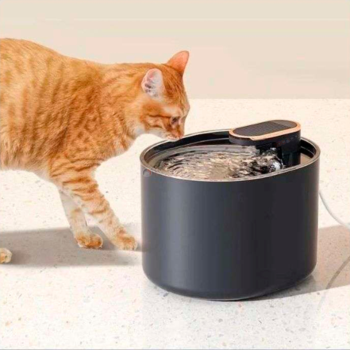 Bebedero Dispensador De Agua Para Mascotas Fuente Eléctrica