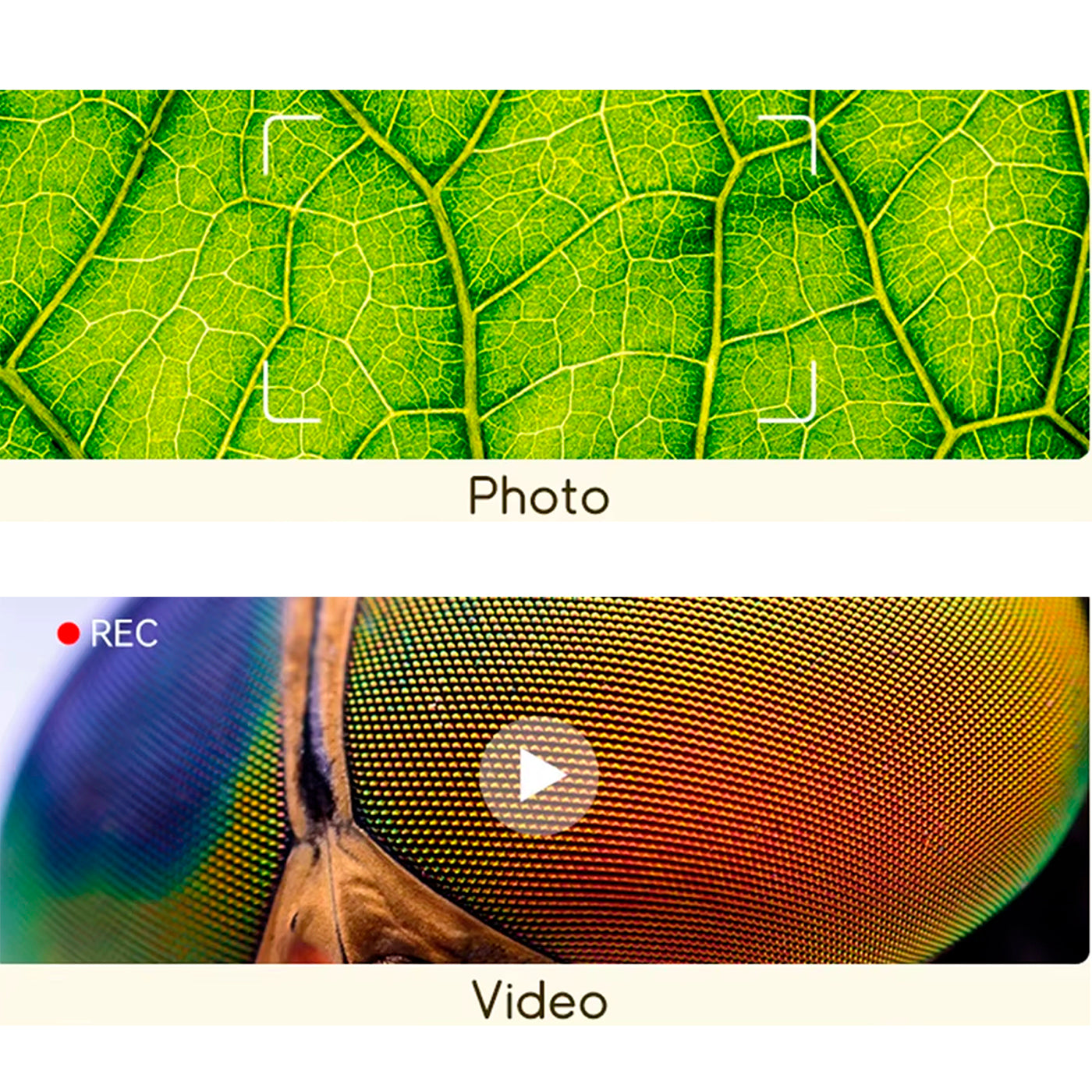 Microscopio Digital Portatil Con Pantalla Lcd 1000x Luz Led