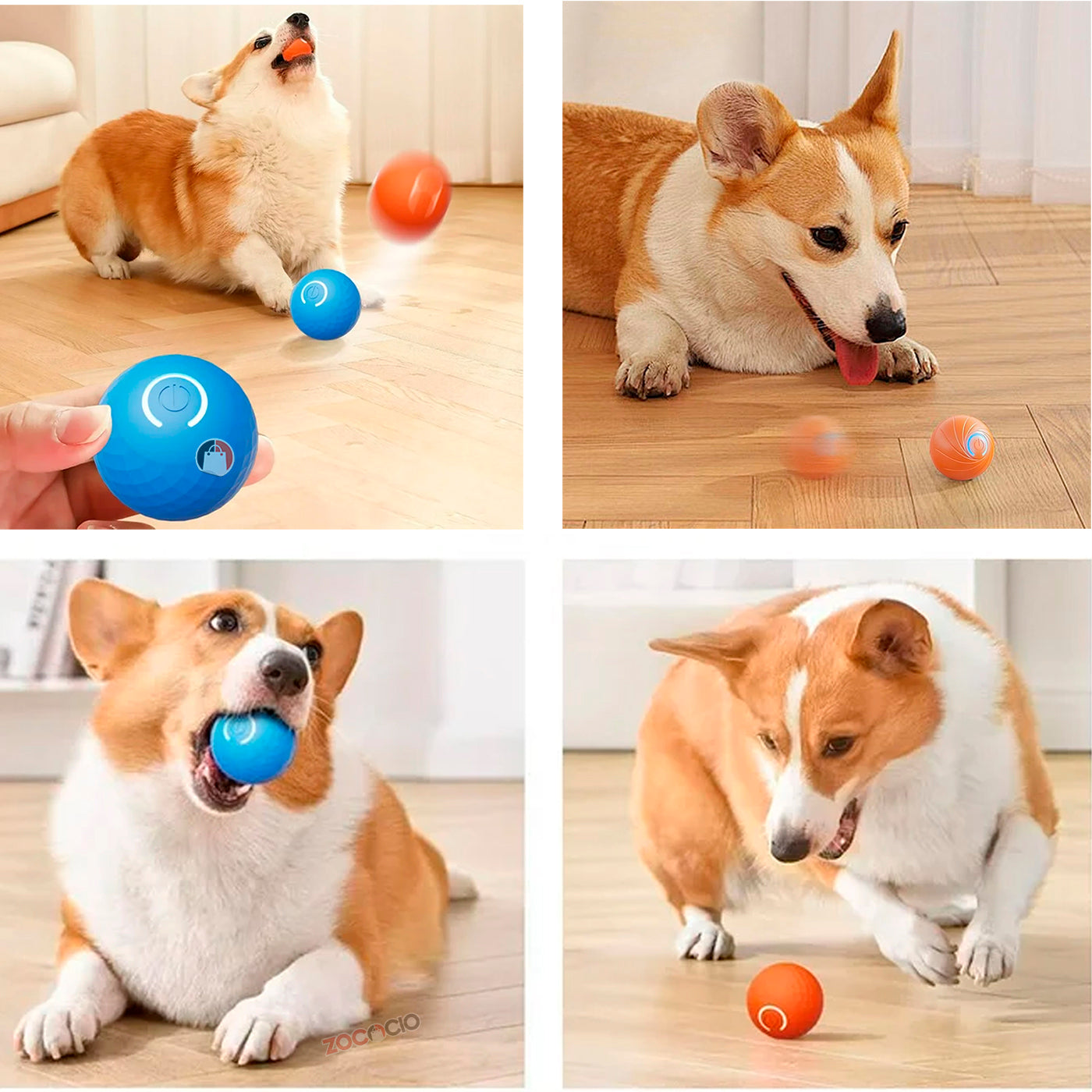 Pelota Interactiva Jump Ball Mascota